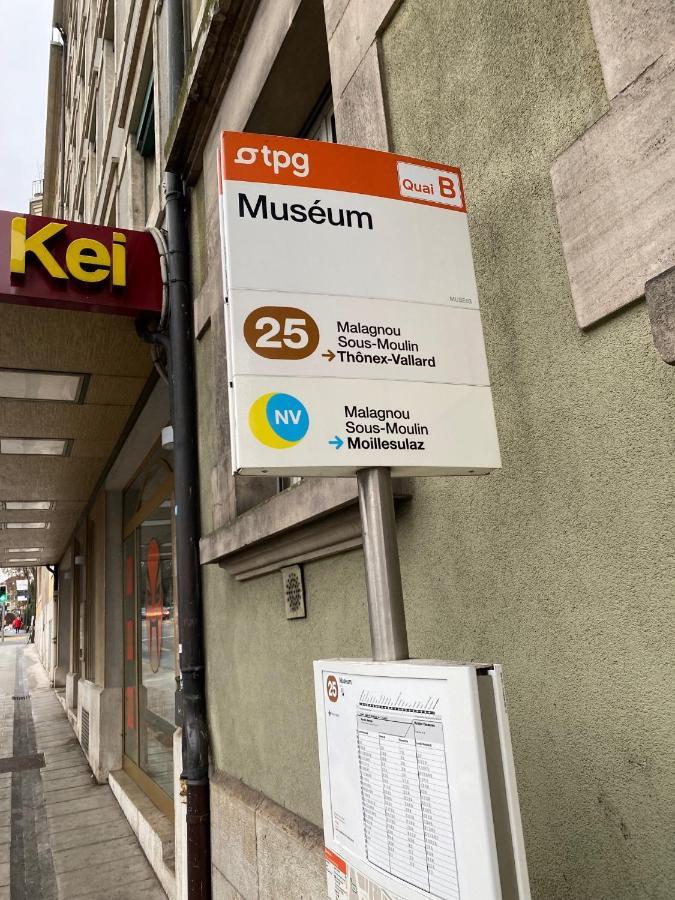 Geneve, Plein Centre,Belle Vue Lac, Splendide Et Grand Appartement Zewnętrze zdjęcie
