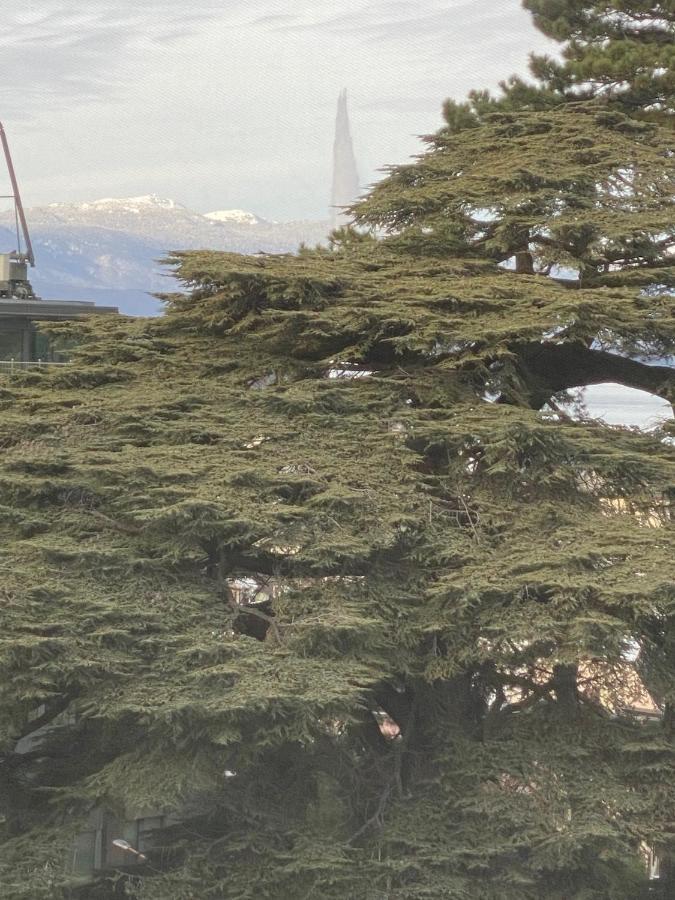 Geneve, Plein Centre,Belle Vue Lac, Splendide Et Grand Appartement Zewnętrze zdjęcie